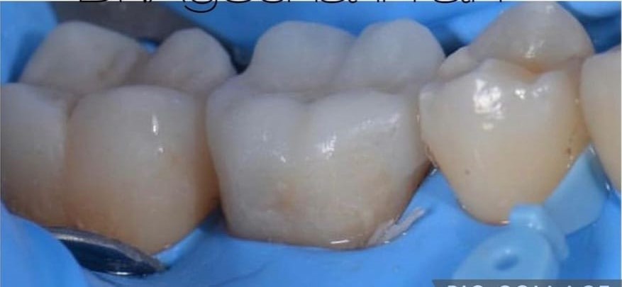 WhatsApp-Image-2024-05-29-at-14.48.52_c8157313