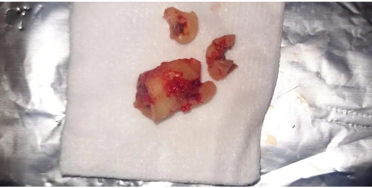 WhatsApp-Image-2024-05-29-at-14.49.45_23b689b7