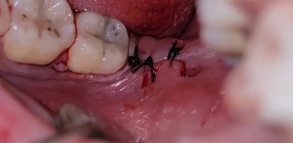 WhatsApp-Image-2024-05-29-at-14.49.45_a1ca4900-1024x1024